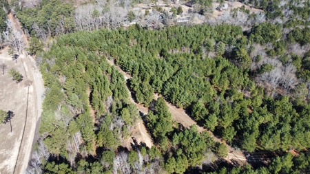 East TX Timber & Hunting Land for Sale Overton Rusk County - image 24
