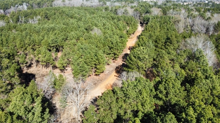 East TX Timber & Hunting Land for Sale Overton Rusk County - image 1
