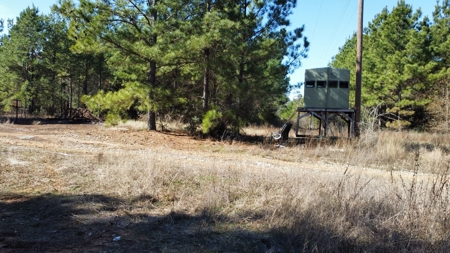 East TX Timber & Hunting Land for Sale Overton Rusk County - image 22