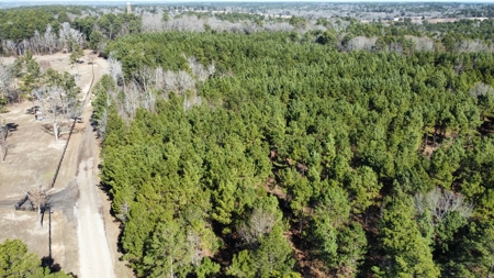 East TX Timber & Hunting Land for Sale Overton Rusk County - image 5