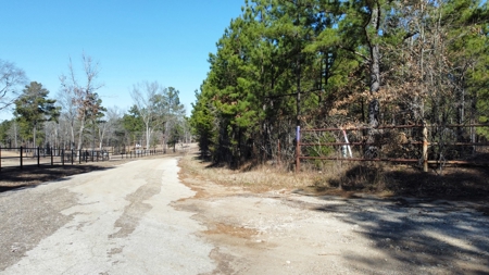 East TX Timber & Hunting Land for Sale Overton Rusk County - image 17