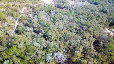 2.55 Acres Of Land Near Bronson In Levy County, Florida - image 8