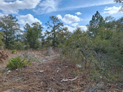 2.55 Acres Of Land Near Bronson In Levy County, Florida - image 6