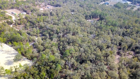 2.55 Acres Of Land Near Bronson In Levy County, Florida - image 10