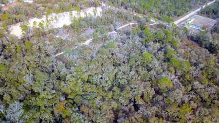 2.55 Acres Of Land Near Bronson In Levy County, Florida - image 7