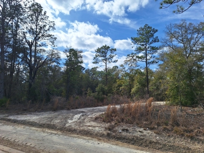 2.55 Acres Of Land Near Bronson In Levy County, Florida - image 1