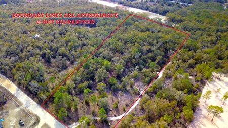 2.55 Acres Of Land Near Bronson In Levy County, Florida - image 13