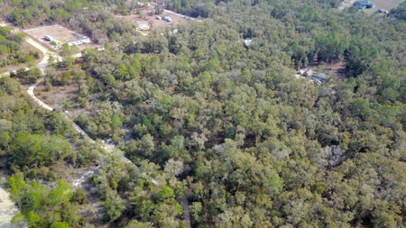 2.55 Acres Of Land Near Bronson In Levy County, Florida - image 12
