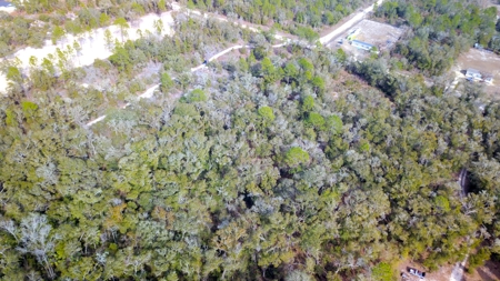 2.55 Acres Of Land Near Bronson In Levy County, Florida - image 11