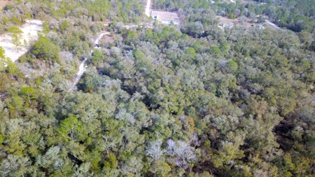 2.55 Acres Of Land Near Bronson In Levy County, Florida - image 9
