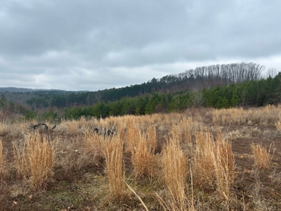 6 Acres of Unrestricted Land For Sale - image 7