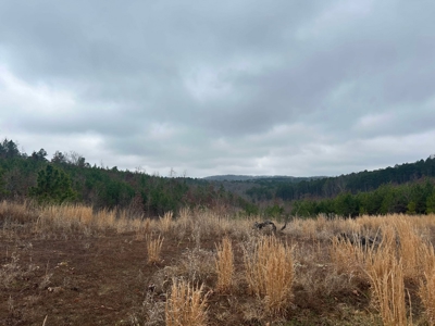 6 Acres of Unrestricted Land For Sale - image 2