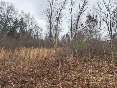 6 Acres of Unrestricted Land For Sale - image 3