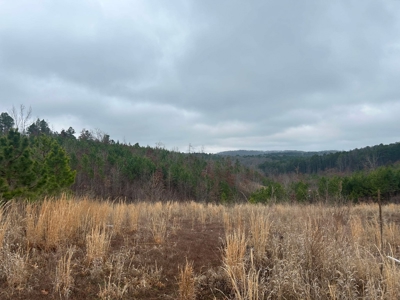 6 Acres of Unrestricted Land For Sale - image 10