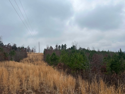 6 Acres of Unrestricted Land For Sale - image 16