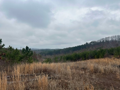 6 Acres of Unrestricted Land For Sale - image 4