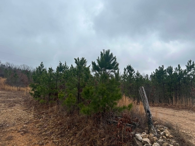 6 Acres of Unrestricted Land For Sale - image 14