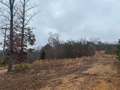 6 Acres of Unrestricted Land For Sale - image 13