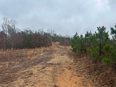 6 Acres of Unrestricted Land For Sale - image 5