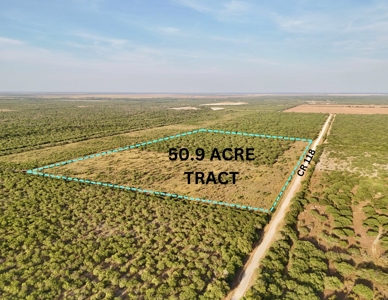 549 Acres in Jim Wells County TX - image 1