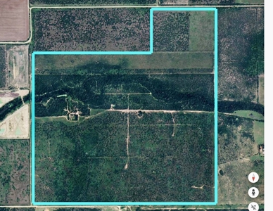 549 Acres in Jim Wells County TX - image 9