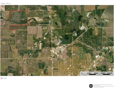 549 Acres in Jim Wells County TX - image 17