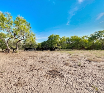 549 Acres in Jim Wells County TX - image 6