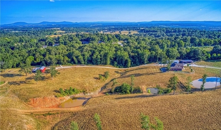 Harrison Executive Luxury Home on 46 Acres, Barns, Ponds - image 30