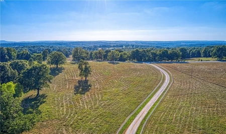 Harrison Executive Luxury Home on 46 Acres, Barns, Ponds - image 27