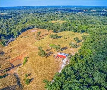 Harrison Executive Luxury Home on 46 Acres, Barns, Ponds - image 36
