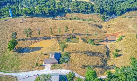 Harrison Executive Luxury Home on 46 Acres, Barns, Ponds - image 35