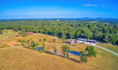 Harrison Executive Luxury Home on 46 Acres, Barns, Ponds - image 31