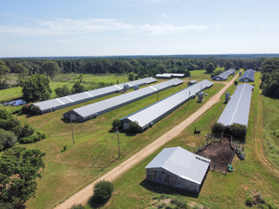 Poultry Farm For Sale In Dubach, La On 43+/- Acres - image 42