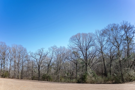 Poultry Farm For Sale In Dubach, La On 43+/- Acres - image 31