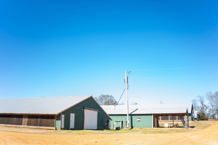 Poultry Farm For Sale In Dubach, La On 43+/- Acres - image 3