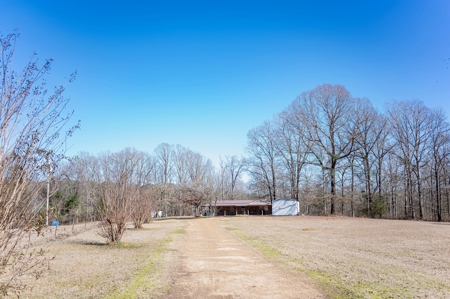 Poultry Farm For Sale In Dubach, La On 43+/- Acres - image 26