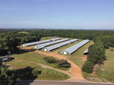 Poultry Farm For Sale In Dubach, La On 43+/- Acres - image 39