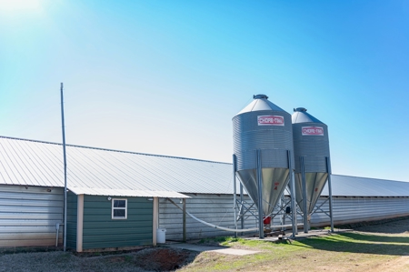 Poultry Farm For Sale In Dubach, La On 43+/- Acres - image 13