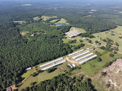 Poultry Farm For Sale In Dubach, La On 43+/- Acres - image 40