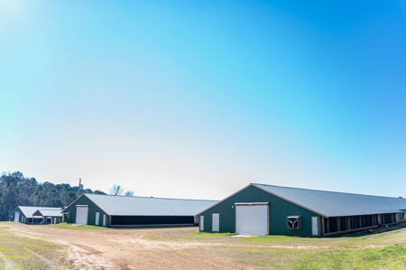 Poultry Farm For Sale In Dubach, La On 43+/- Acres - image 1