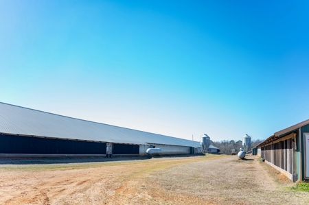 Poultry Farm For Sale In Dubach, La On 43+/- Acres - image 11
