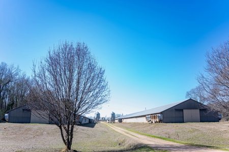Poultry Farm For Sale In Dubach, La On 43+/- Acres - image 24