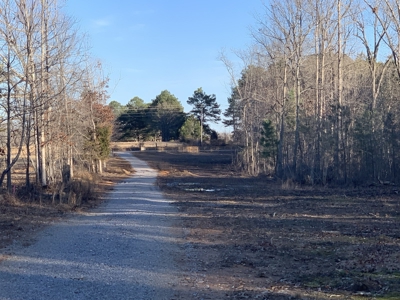 Land for Sale in Lewis County Tennessee - image 1