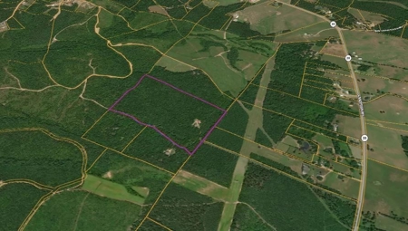 Land for Sale in Lewis County Tennessee - image 10