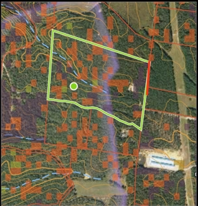 Land for Sale in Lewis County Tennessee - image 9