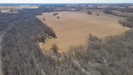Land for Sale in Pleasant Hill, MO - image 14