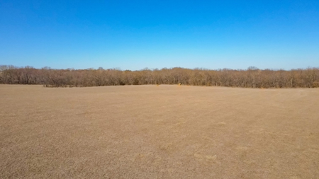 Land for Sale in Pleasant Hill, MO - image 23