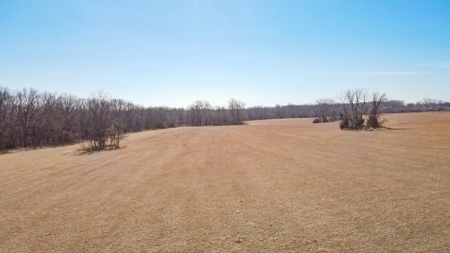 Land for Sale in Pleasant Hill, MO - image 21