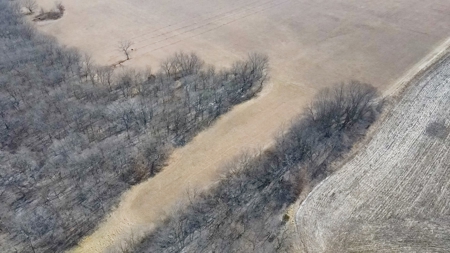 Land for Sale in Pleasant Hill, MO - image 8