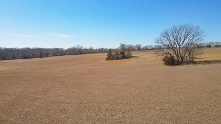 Land for Sale in Pleasant Hill, MO - image 25